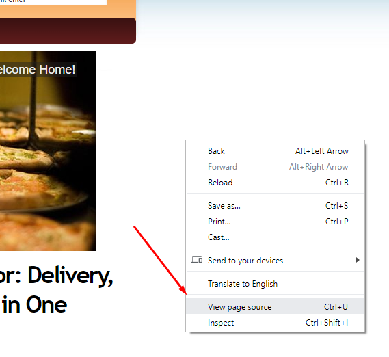 viewing page source